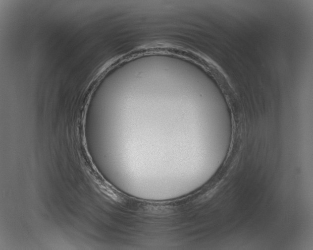 X0000081350921200701111102
