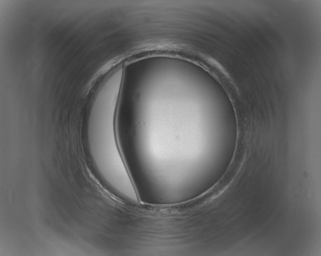 X0000081350922200701111102