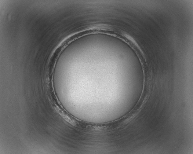 X0000081350923200701111102