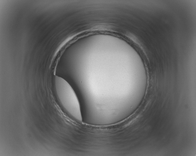 X0000081350925200701111102