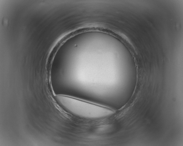 X0000081350927200701111102