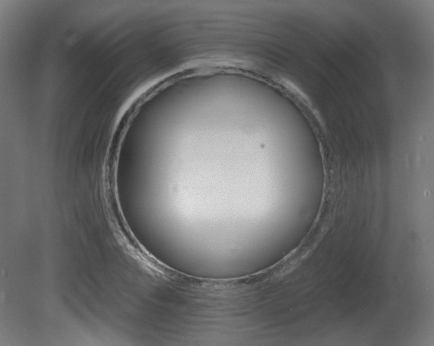 X0000081350928200701111102