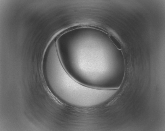 X0000081350932200701111102