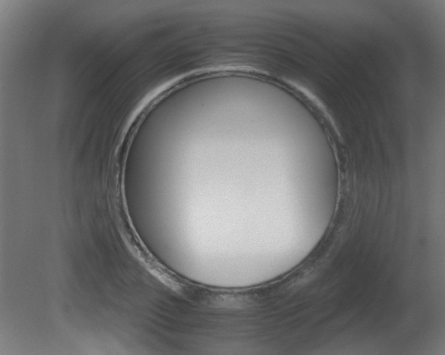 X0000081350933200701111102
