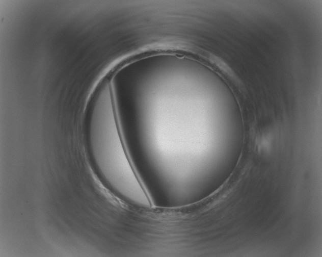 X0000081350934200701111102