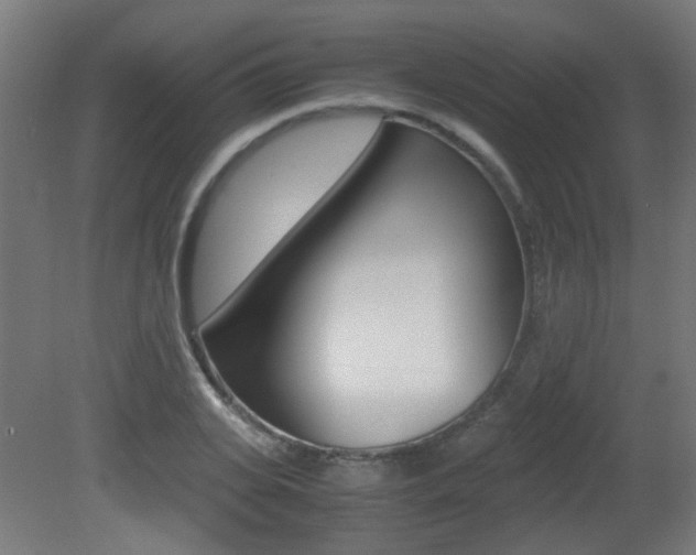 X0000081350935200701111102