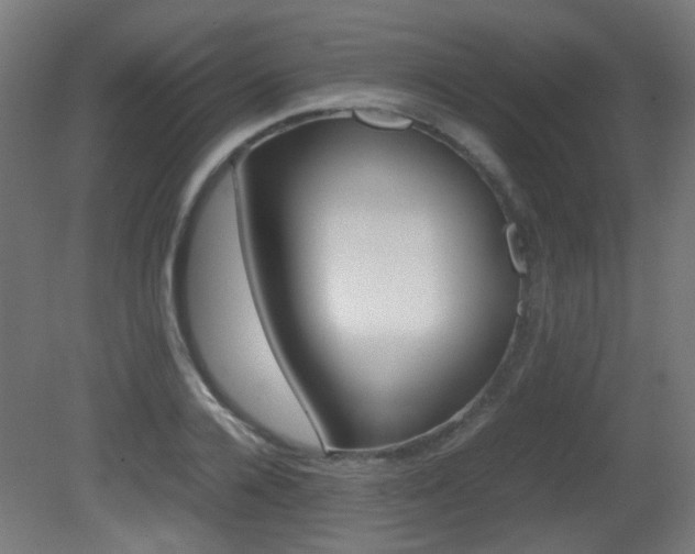 X0000081350936200701111102