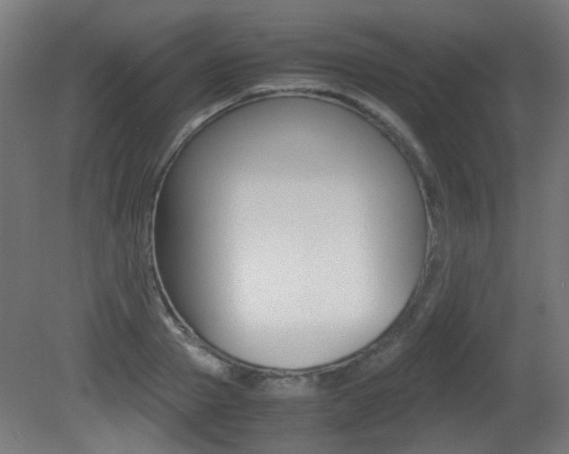 X0000081350937200701111102