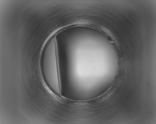 X0000081350939200701111102