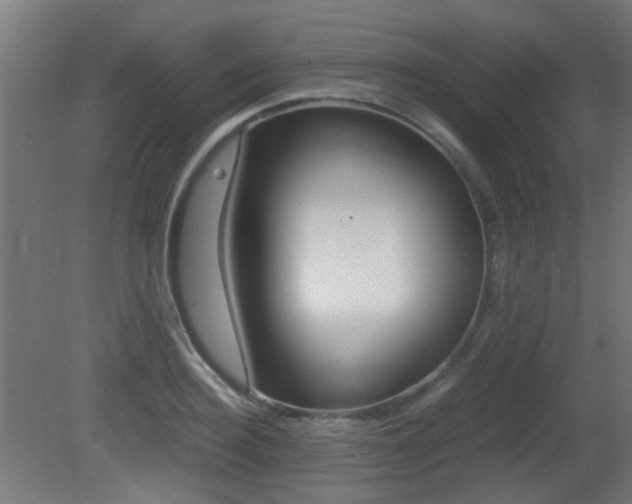 X0000081350940200701111102