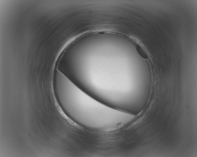 X0000081350941200701111102