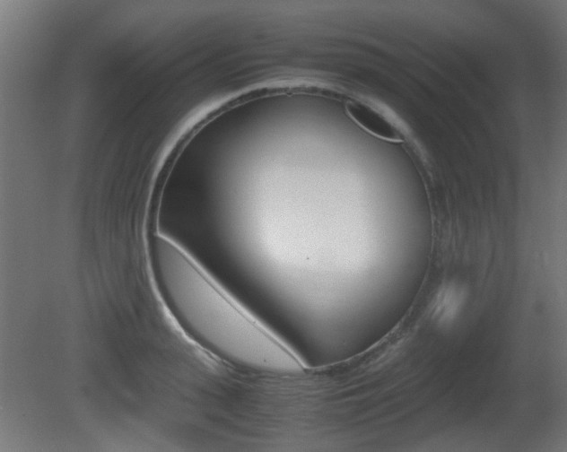 X0000081350943200701111102