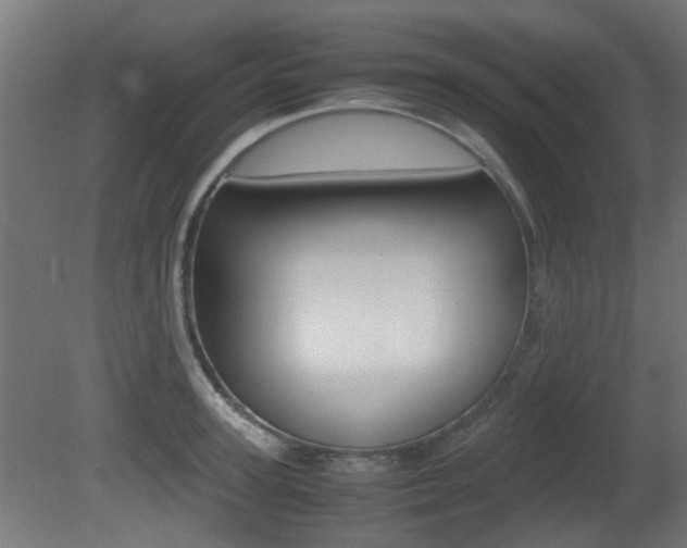 X0000081350947200701111102