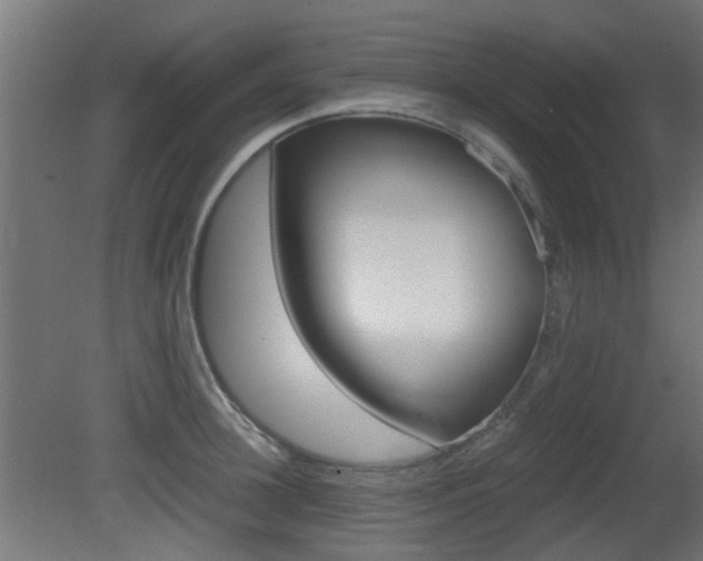 X0000081350948200701111102