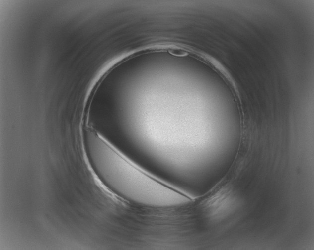 X0000081350951200701111102