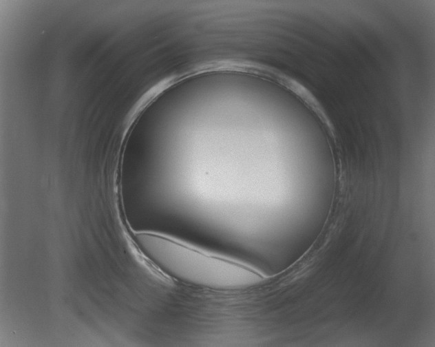 X0000081350954200701111102