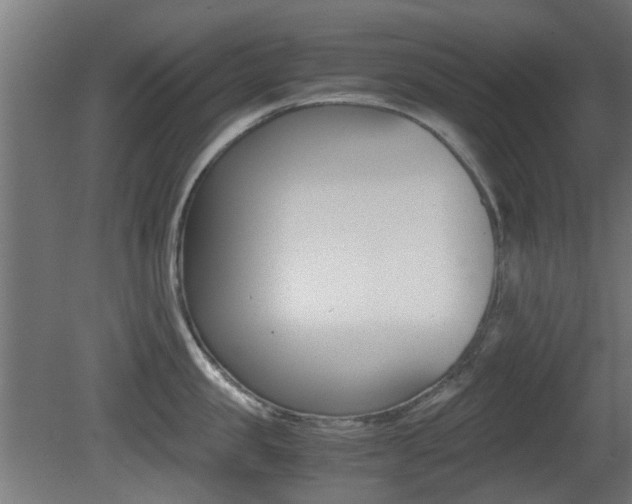 X0000081350957200701111102