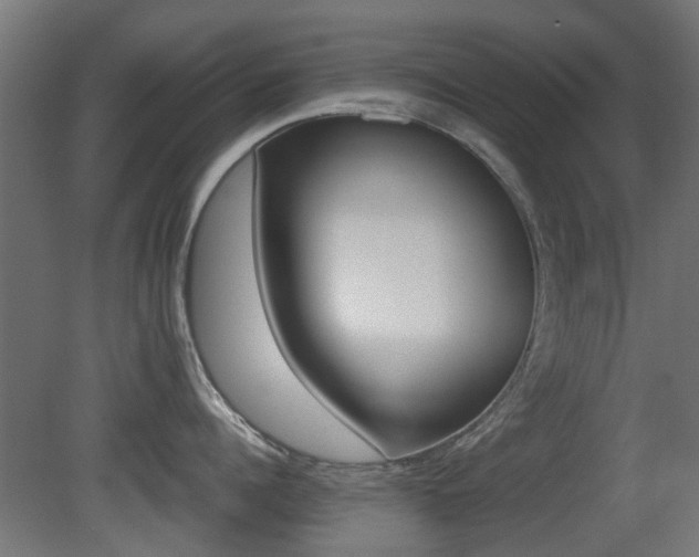 X0000081350960200701111103