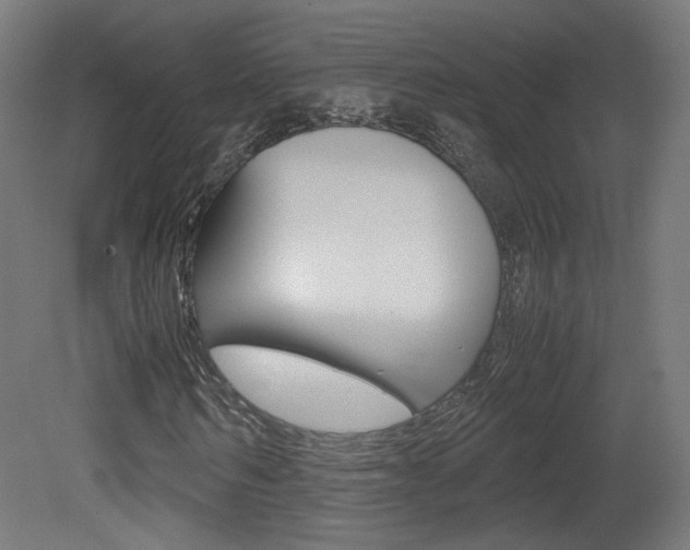 X0000081350962200701111102