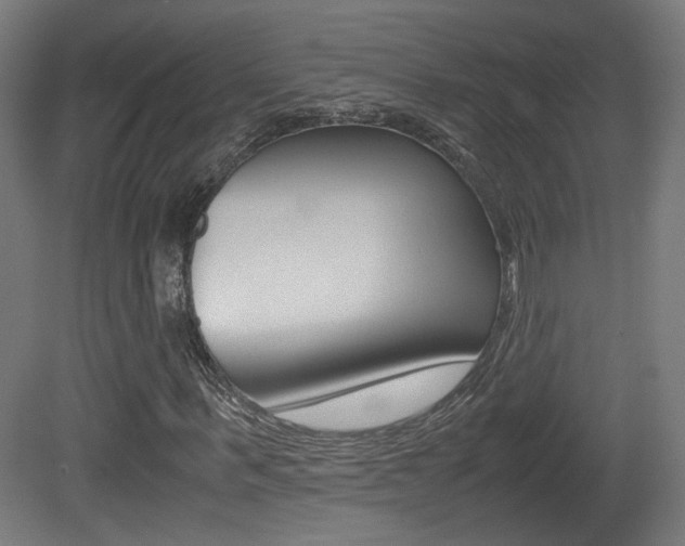 X0000081350963200701111102
