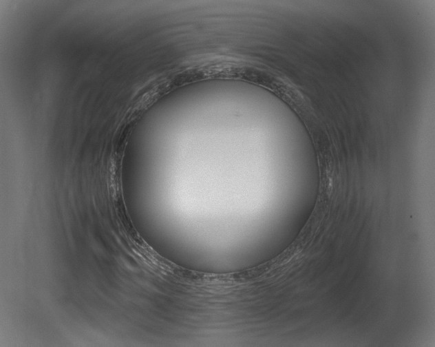 X0000081350964200701111102