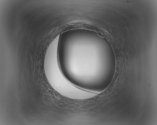 X0000081350965200701111102