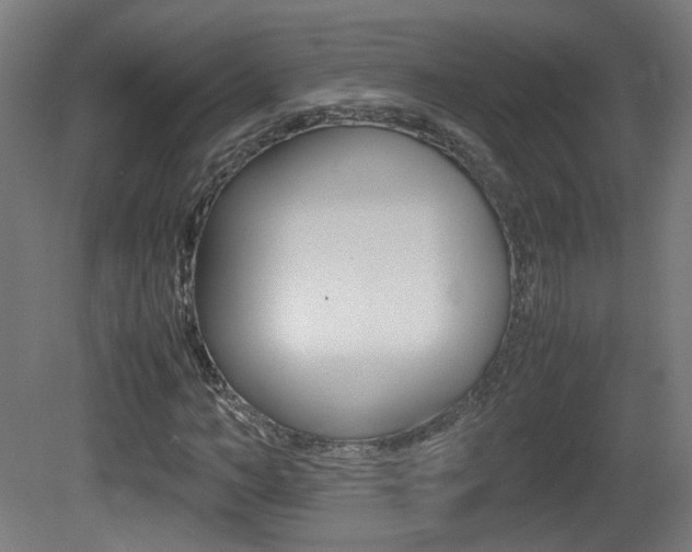 X0000081350966200701111102