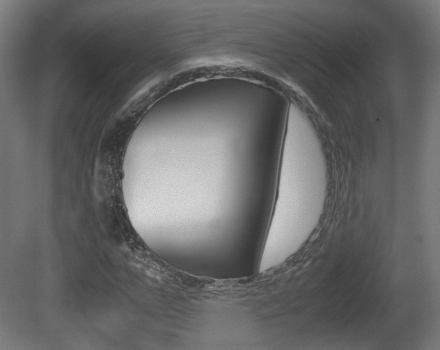 X0000081350967200701111102