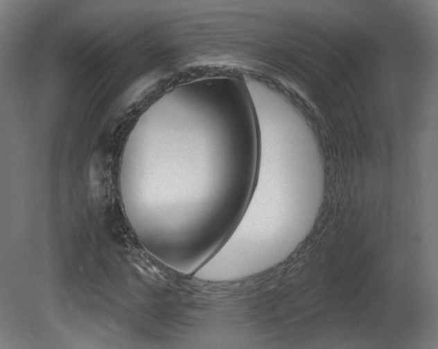 X0000081350968200701111102