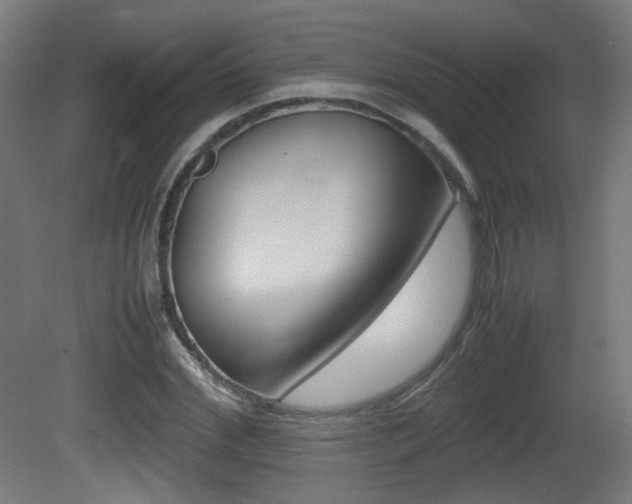 X0000081350972200701111102