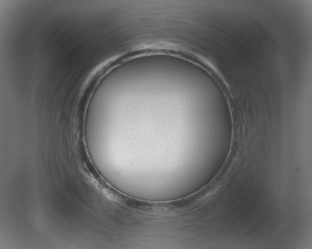 X0000081350979200701111101