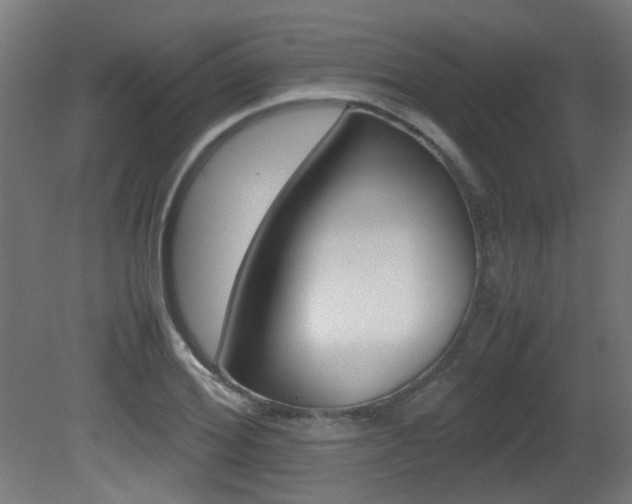 X0000081350980200701111101