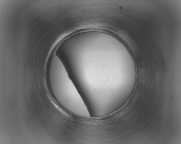 X0000081350982200701111101