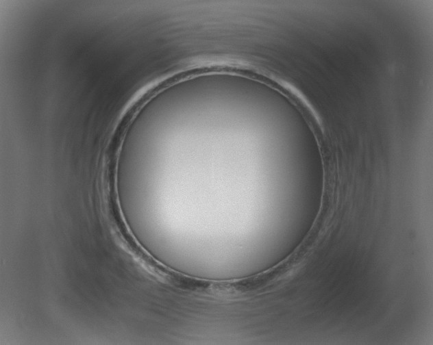 X0000081350983200701111101