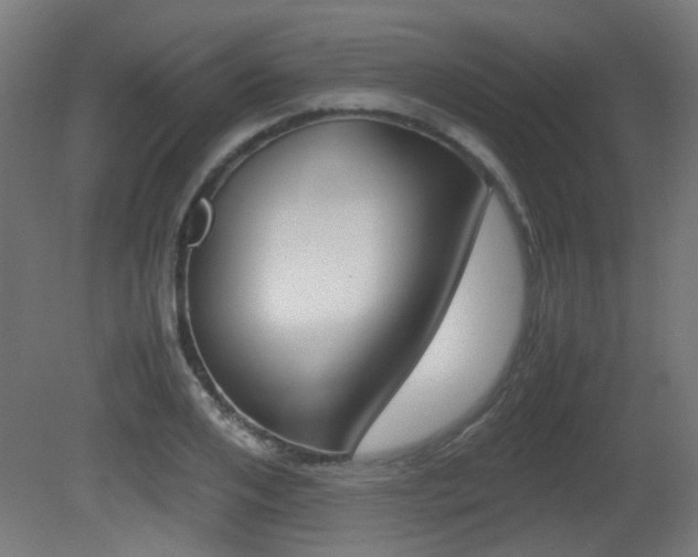 X0000081350984200701111101