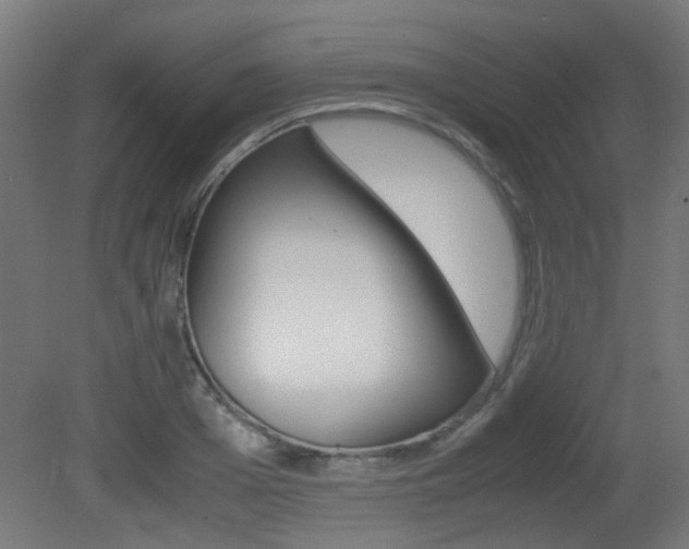 X0000081350985200701111101