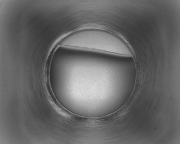 X0000081350987200701111101