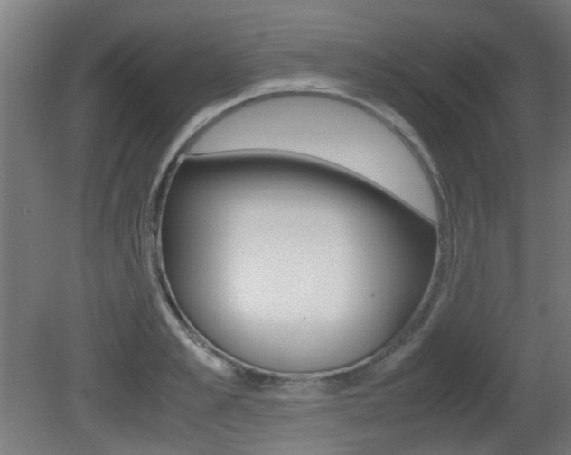 X0000081350989200701111101