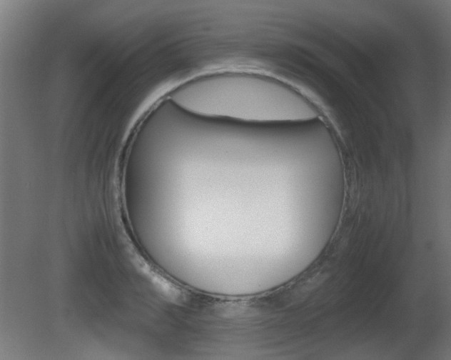 X0000081350990200701111101