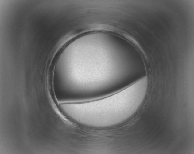 X0000081350991200701111101