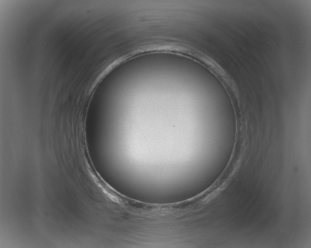 X0000081350993200701111101