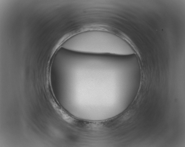 X0000081350994200701111101