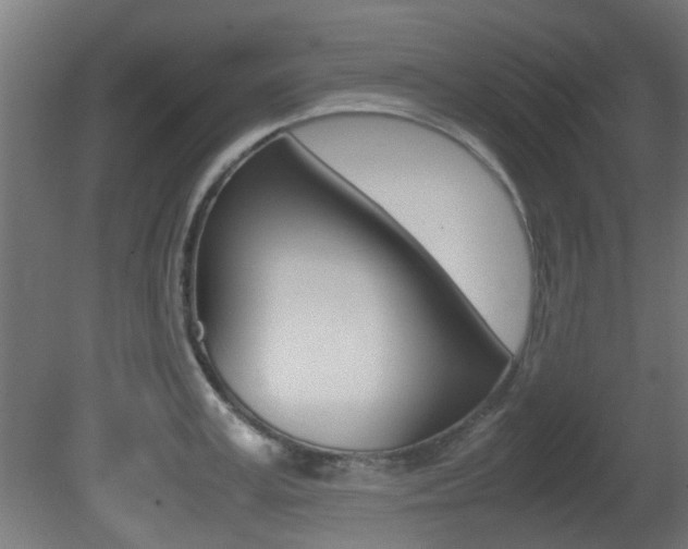 X0000081350995200701111101