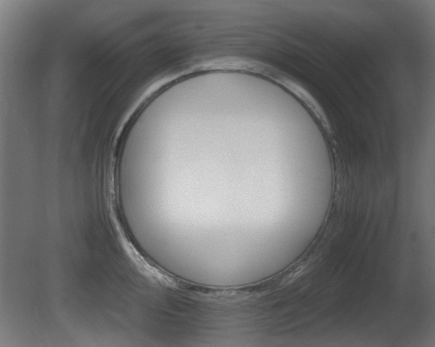 X0000081351000200701111101