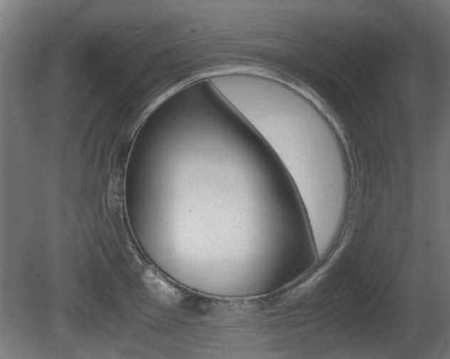 X0000081351001200701111101