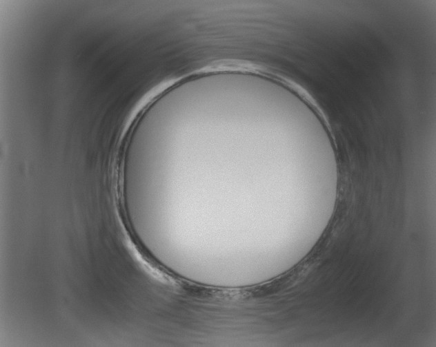 X0000081351003200701111101