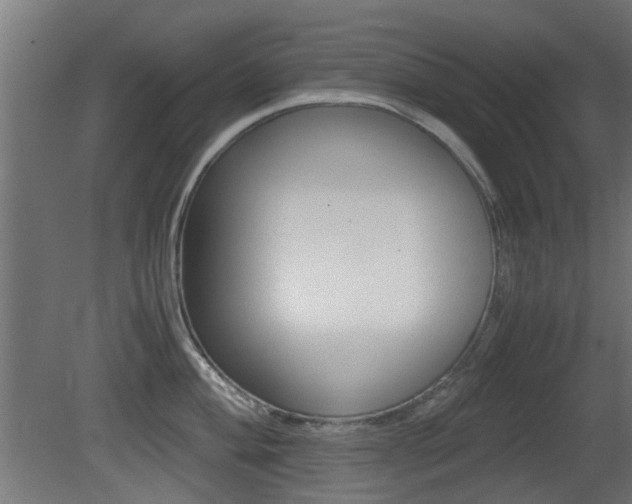 X0000081351004200701111101