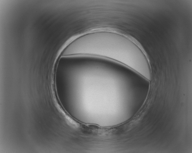X0000081351005200701111101