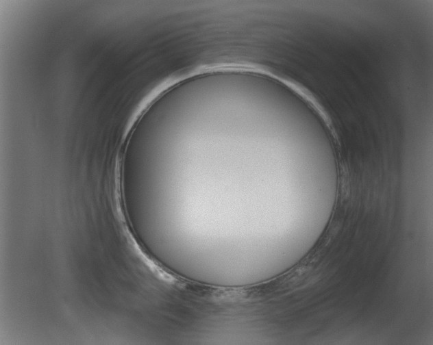 X0000081351006200701111101
