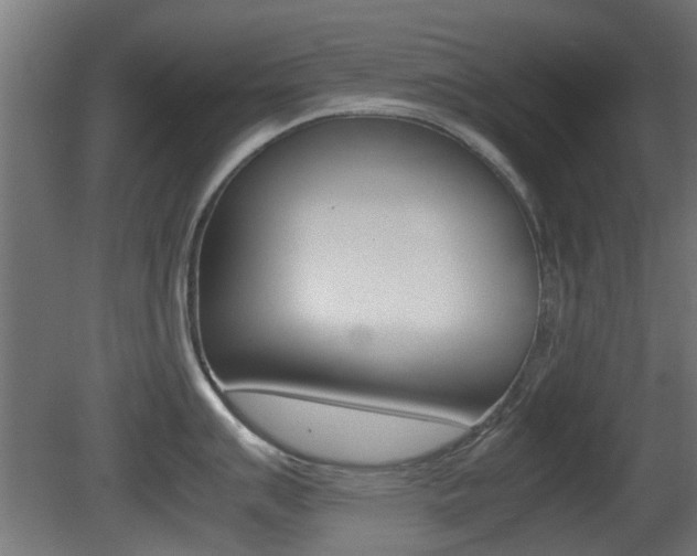 X0000081351007200701111101